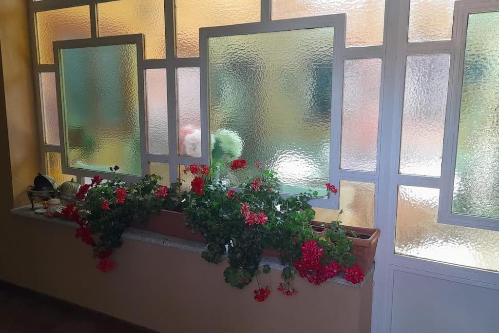 Casa De Las Lavandas, Ávila エクステリア 写真